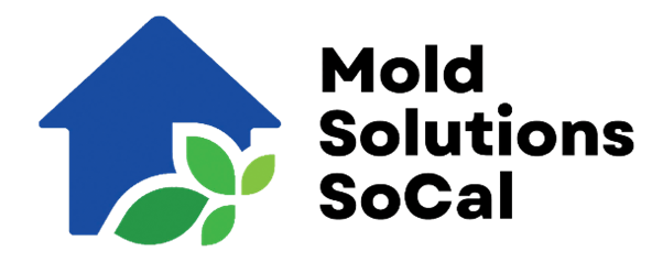 mold solutions